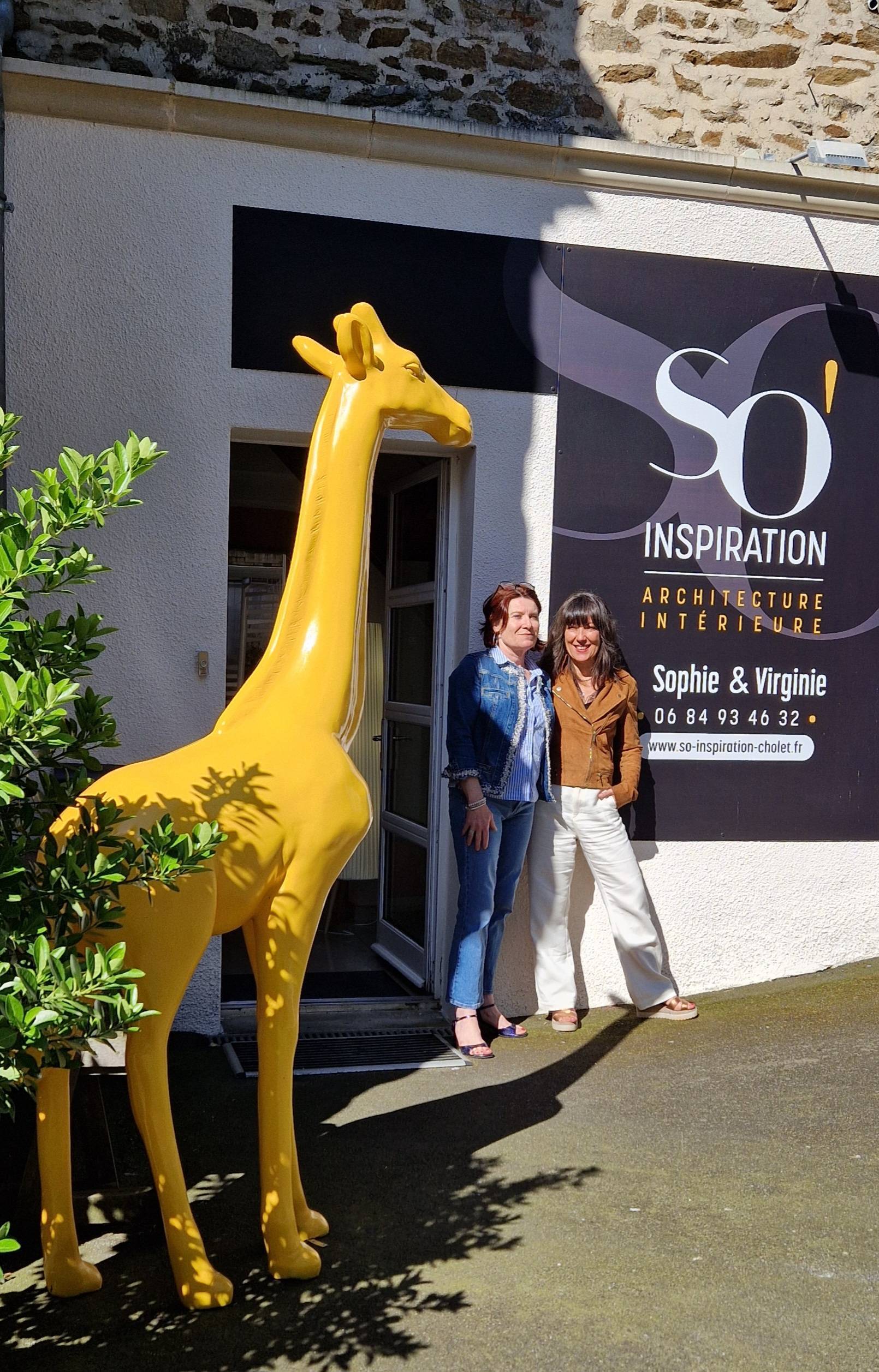 acceuil girafe